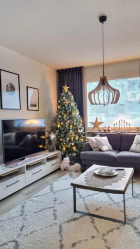 Arctic Circle Home, Rovaniemi